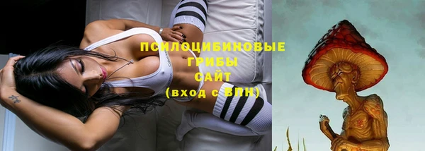 кристаллы Гусев