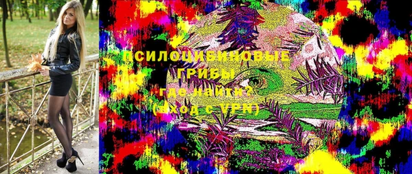 марки lsd Гусиноозёрск