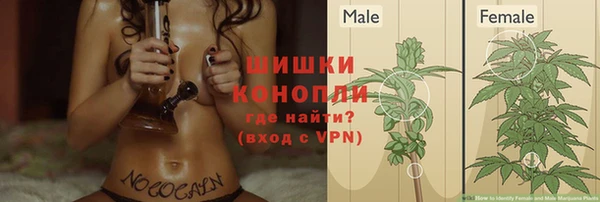 винт Гусь-Хрустальный
