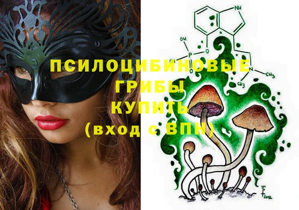 винт Гусь-Хрустальный